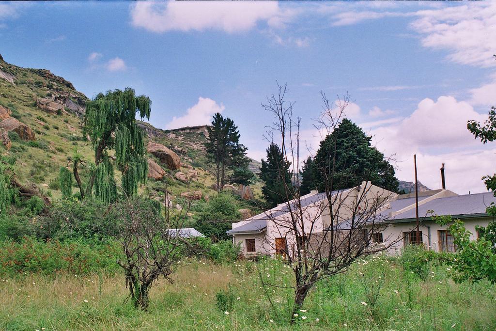Aspen Guest House Clarens Εξωτερικό φωτογραφία