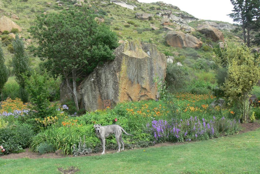 Aspen Guest House Clarens Εξωτερικό φωτογραφία