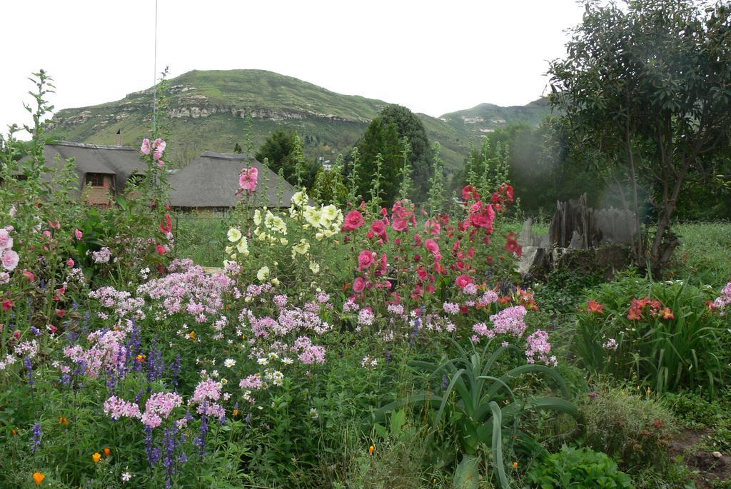 Aspen Guest House Clarens Εξωτερικό φωτογραφία