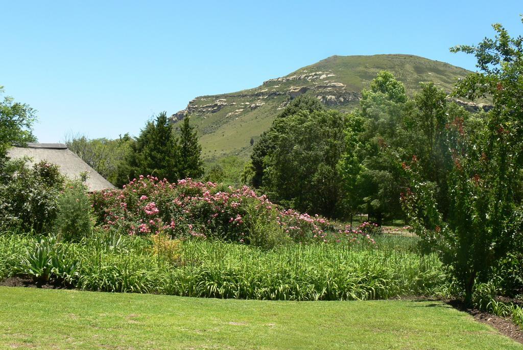 Aspen Guest House Clarens Εξωτερικό φωτογραφία